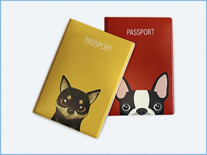 Обложки для паспорта из ПВХ